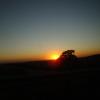 DSC01003