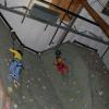 IMG_7196
