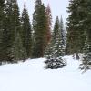 DSC01283