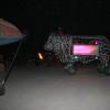 IMG_8698