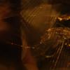 DSC01605