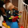 IMG_0600