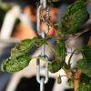 IMG_1552
