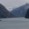 IMG_0335