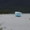 IMG_0800