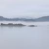 IMG_1009