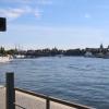 IMG_2517