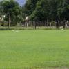 IMG_5922