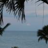 IMG_5956