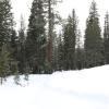 IMG_6354