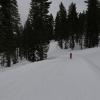 IMG_6371
