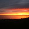 IMG_7217