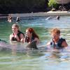 Dolphin Quest Photos-id264649090