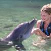 Dolphin Quest Photos-id264649091