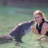 Dolphin Quest Photos-id264649093