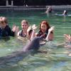 Dolphin Quest Photos-id264649094