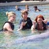 Dolphin Quest Photos-id264649095
