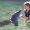Dolphin Quest Photos-id264649096