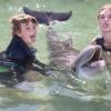 Dolphin Quest Photos-id264649101
