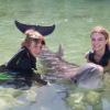 Dolphin Quest Photos-id264649103