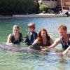 Dolphin Quest Photos-id264649104