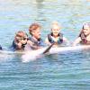 Dolphin Quest Photos-id264649105