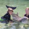Dolphin Quest Photos-id264649109
