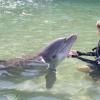 Dolphin Quest Photos-id264649110