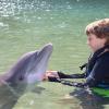 Dolphin Quest Photos-id264649111