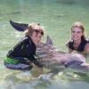 Dolphin Quest Photos-id264649112