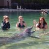 Dolphin Quest Photos-id264649113