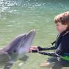 Dolphin Quest Photos-id264649116