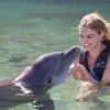 Dolphin Quest Photos-id264649117