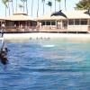 Dolphin Quest Photos-id264649123