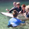 Dolphin Quest Photos-id264649124