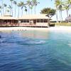 Dolphin Quest Photos-id264649133