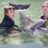 Dolphin Quest Photos-id264649137