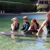 Dolphin Quest Photos-id264649138