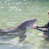 Dolphin Quest Photos-id264649144