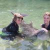 Dolphin Quest Photos-id264649145