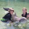 Dolphin Quest Photos-id264649147
