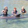 Dolphin Quest Photos-id264649148