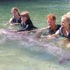 Dolphin Quest Photos-id264649149