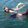 Dolphin Quest Photos-id264649154