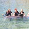 Dolphin Quest Photos-id264649155