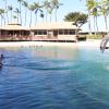 Dolphin Quest Photos-id264649158