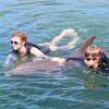Dolphin Quest Photos-id264649159