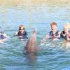Dolphin Quest Photos-id264649160
