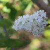 IMG_8750