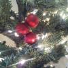 IMG_20121216_133110